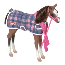 Our Generation - Quarter Horse Foal