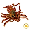 Huggable - Corney Crayfish