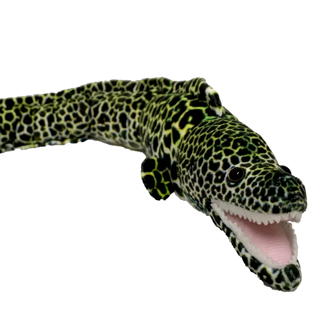 Huggable - Emilio Eel 1 Huggable - Emilio Eel