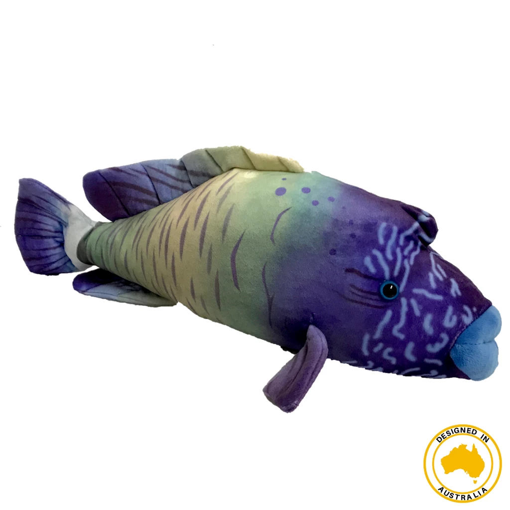 Huggable - Wrasse Fish 1 Huggable - Wrasse Fish