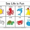 Edvantage - Placemat - Sea Life Is Fun 3 Edvantage - Placemat - Sea Life Is Fun -model toy shop LPMSIF 1024x1024