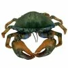 Huggable - Mason Mud Crab