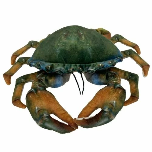 Huggable - Mason Mud Crab 1 Huggable - Mason Mud Crab
